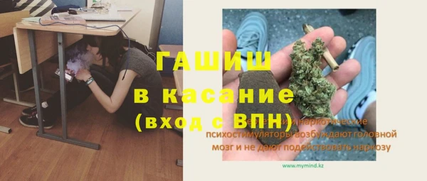 шишки Армянск