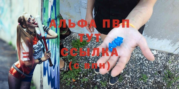 шишки Армянск