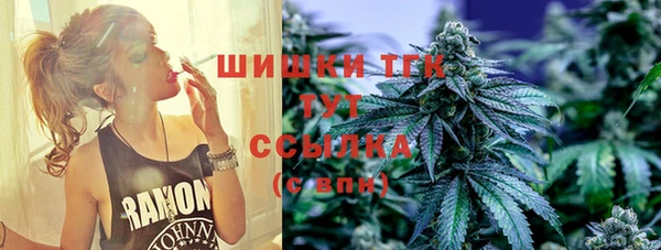 шишки Армянск
