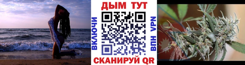 Канабис Amnesia  Купить где  Суворов 